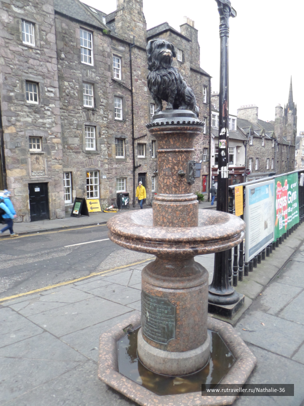 photo 1591753