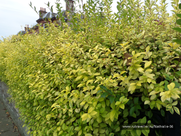 photo 1626957