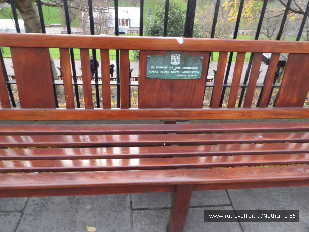 photo 1686321