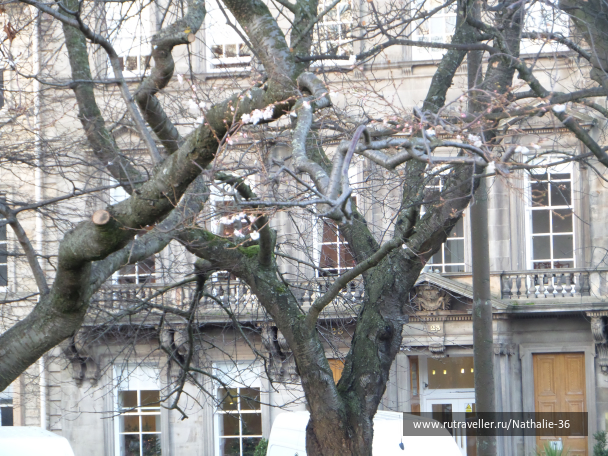 photo 1723160