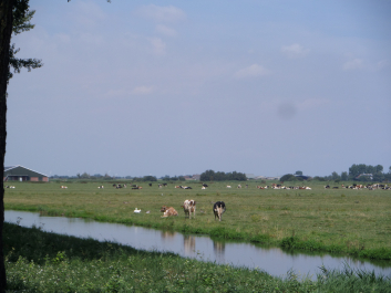 photo 1699468