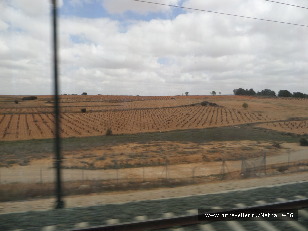 photo 1753153