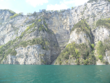 photo 1772729