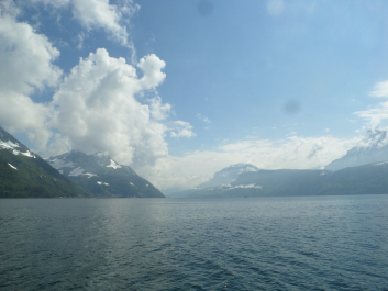 photo 1772736