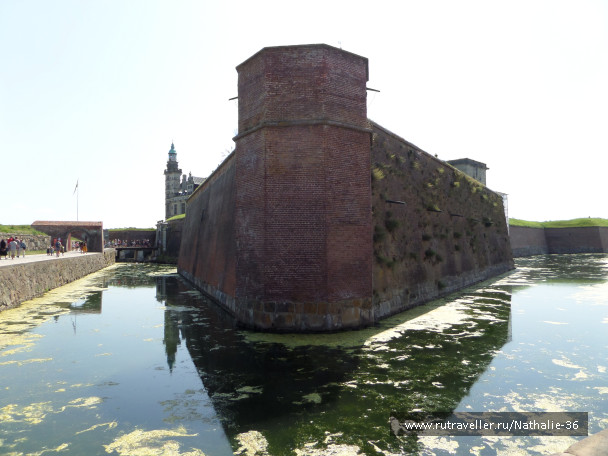 photo 1795369