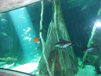 photo 383128