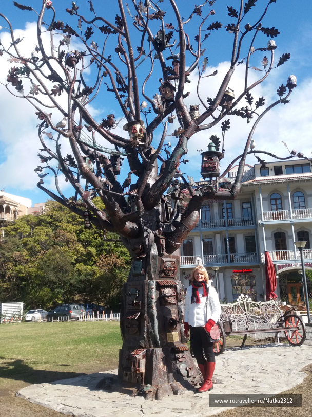photo 1414323