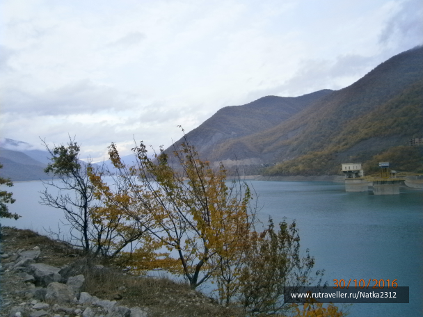 photo 1414335