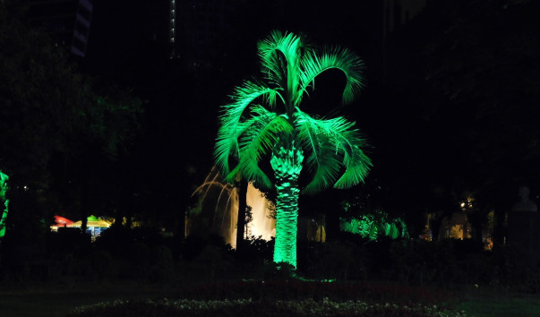 2015-12-31 21-00-00 (93)