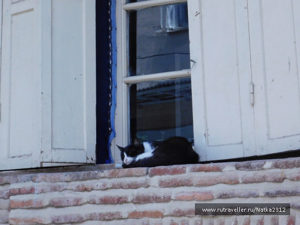 photo 1517358