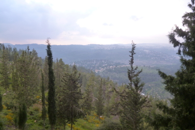 photo 1273227
