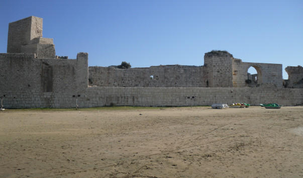 SDC14389