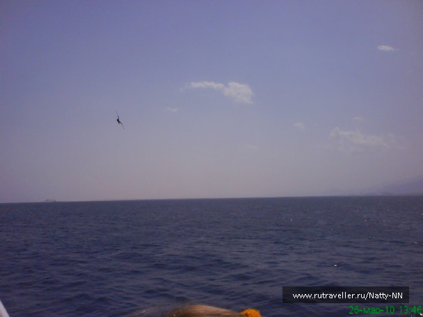 photo 164005
