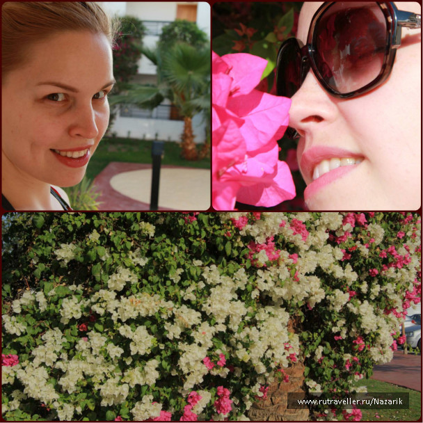 photo 240303