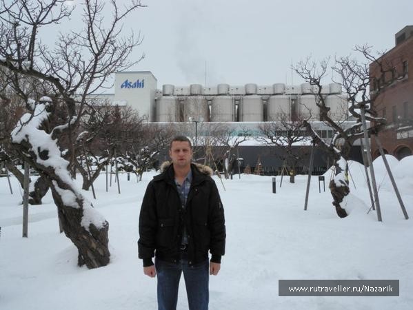 photo 243274