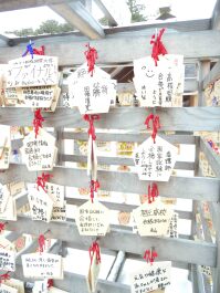 photo 565688