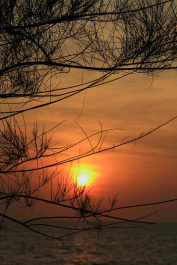 photo 449965