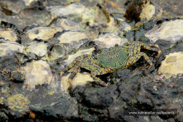 photo 449986