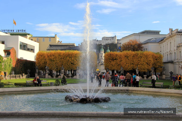 photo 567513