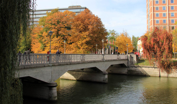 41.Мост Бошбрюкк-Boschbrücke