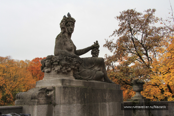 photo 571542