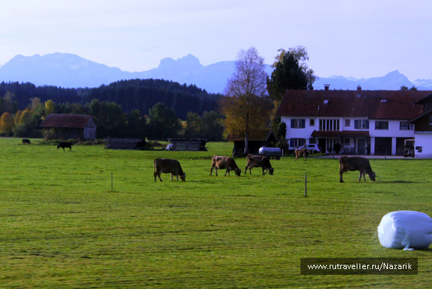 photo 596154