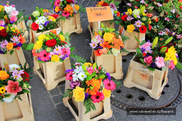 photo 647874
