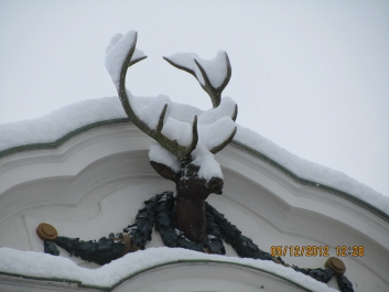 photo 944731