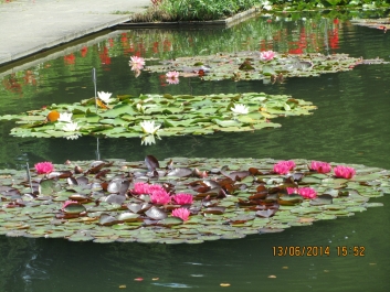 photo 958934