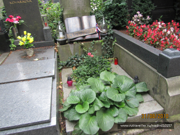 photo 1002848