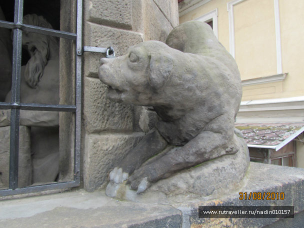 photo 1002907