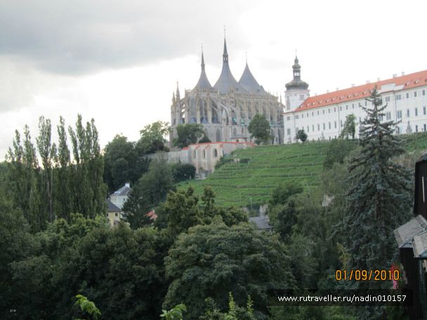 photo 1005815