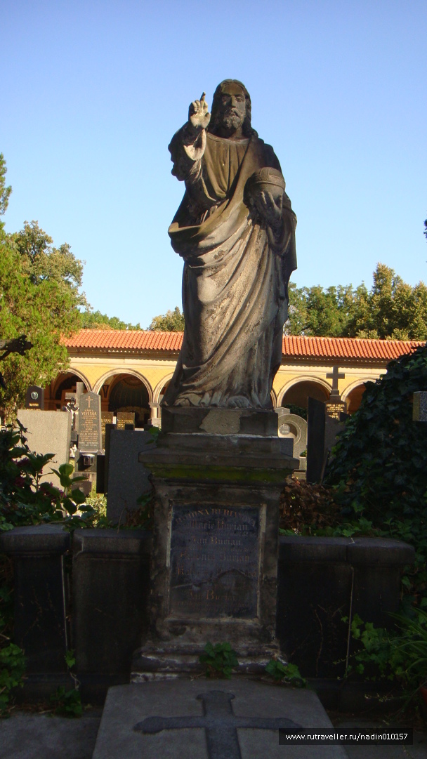 photo 1171648