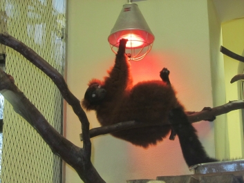 photo 932594