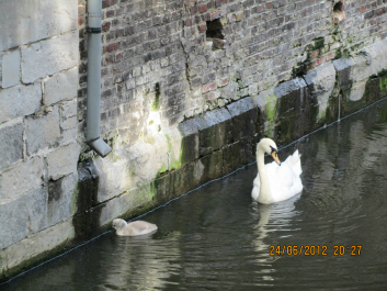 photo 988269