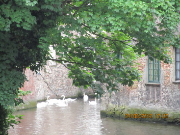 photo 988291
