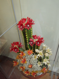 photo 1410114