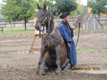 photo 1418154