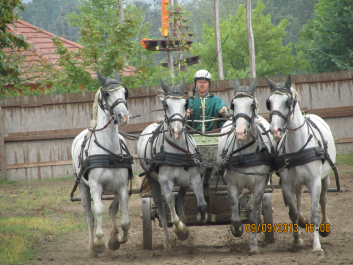 photo 1418382