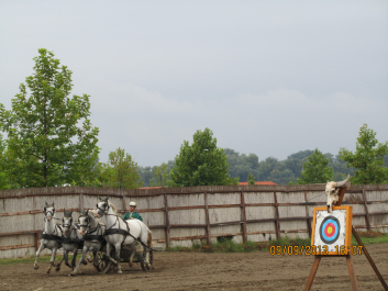 photo 1418383
