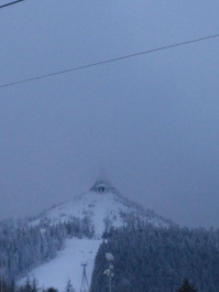 photo 1741287