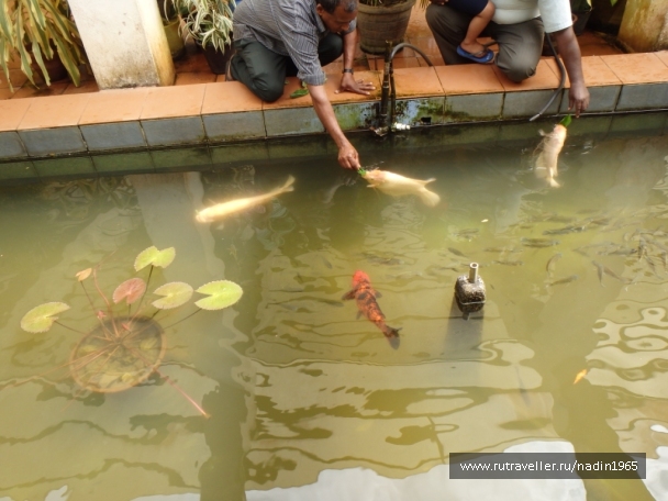 photo 565614