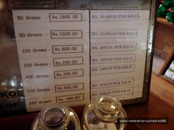 photo 565617
