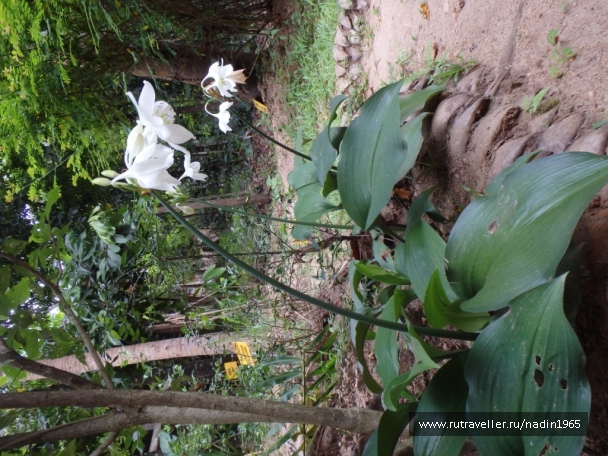 photo 565621