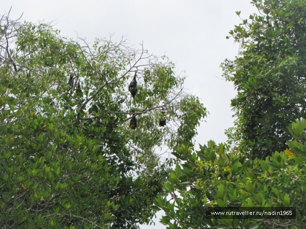 photo 565632