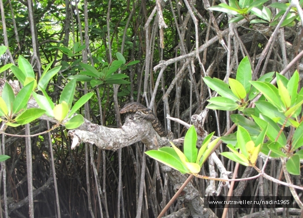 photo 565634