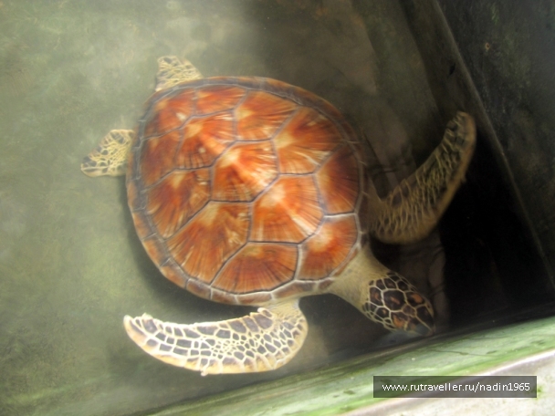 photo 565642