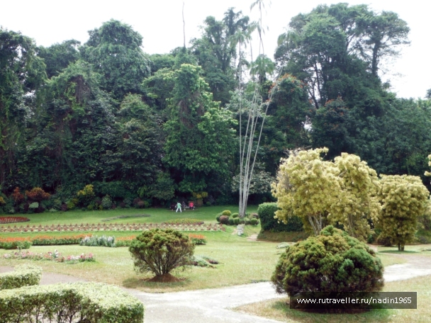 photo 565672