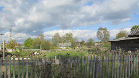 photo 1450219