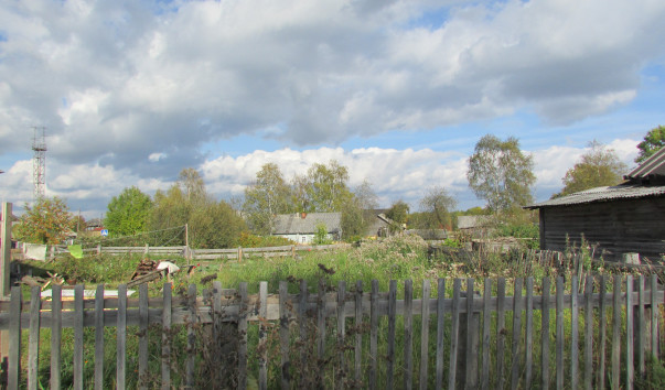 IMG_8850